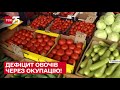 🥕❌ Дефіцит овочів через окупацію! До яких цін слід готуватися українцям – ТСН