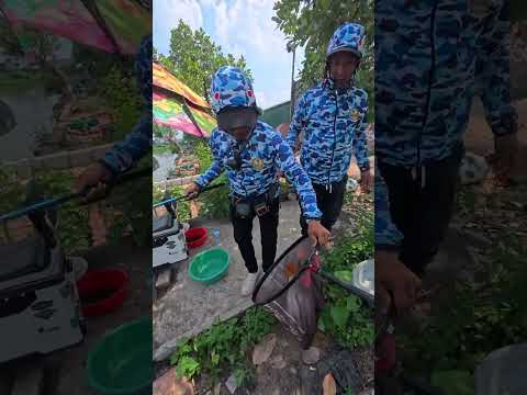Câu chép cũ bằng ốc - Đông Anh, Hà Nội