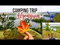 Algonquin Provincial Park 🍂🍁Fall Camping Trip 2018 🏕🛶