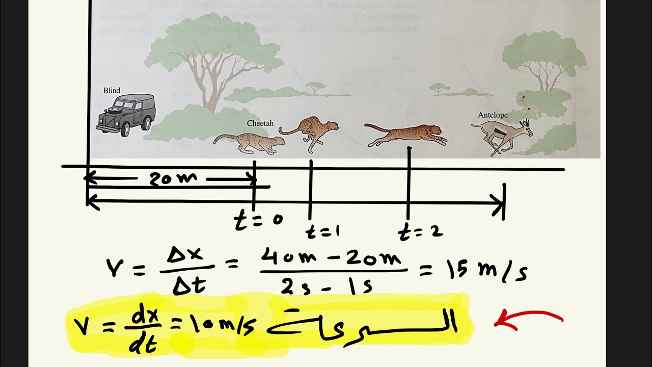 الفيزياء من الصفر | 4 التفاضل والتكامل في الفيزياء