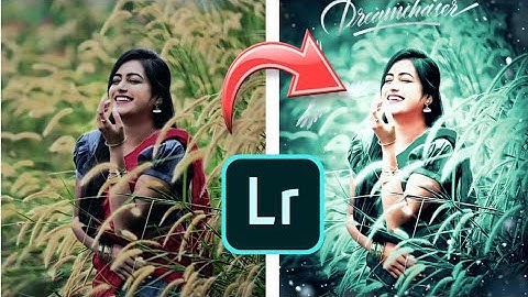 Lightroom green and bird effect photo editing tutorial | Lightroom background colour change preset🔥🔥