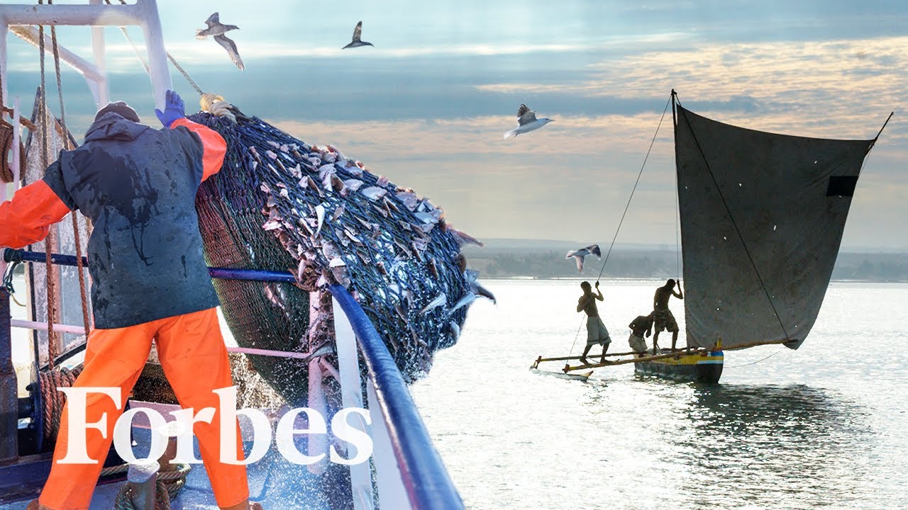 How The Commercial Fishing Industry Robs Coastal Indigenous Communities Forbes YouTube