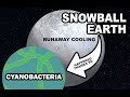 SNOWBALL EARTH - Cyanobacteria caused the Paleoproterozoic Freezeover?