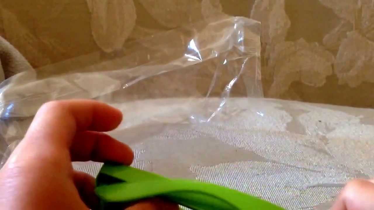 Kaiser Glasses Review YouTube