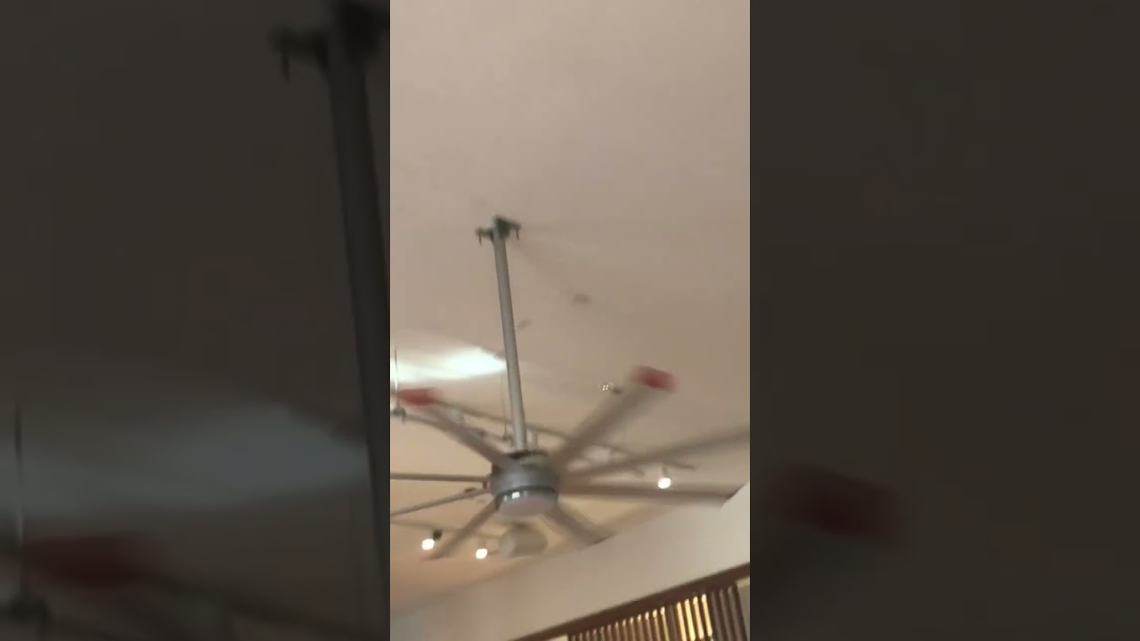 8' Big Ass Fans Essence ceiling fan running on medium-ish speed 