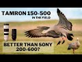 Tamron 150-500 | Is it BETTER than SONY 200-600? In the Field Review