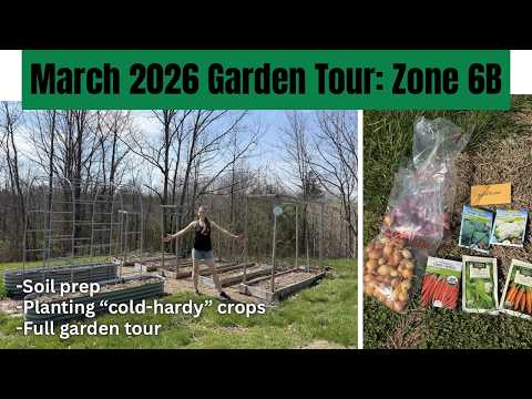 MARCH HOMESTEAD GARDEN TOUR 2026 Zone 6B How to plant cold-hardy crops