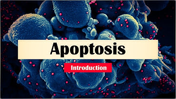 Apoptosis || "What is Apoptosis?" || Programmed Cell Death || CSIR NET | GATE | M.Sc. | B.Sc.