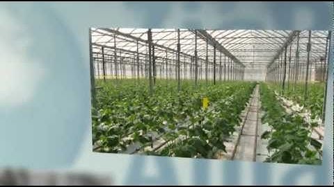 RT Discovery Greenhouse Deployment