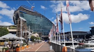 Around The Grounds: The Ribbon Project Update