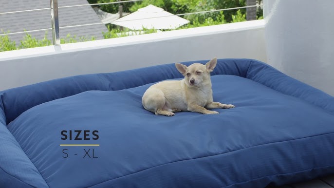 Amazon Com K9 Ballistics Tough Orthopedic Dog Bed Xx Large Nearly Indestructible Chew Proof Washable Ortho Pillow For Chewing Puppy For Xx Large Dogs 68 X40 Blue Pet Beds Kitchen