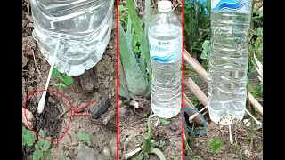 Easy make 5 minute Plastic bottle DIY drip irrigation system for plantse