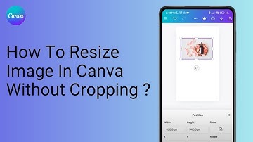 How To Resize Image In Canva Without Cropping ?