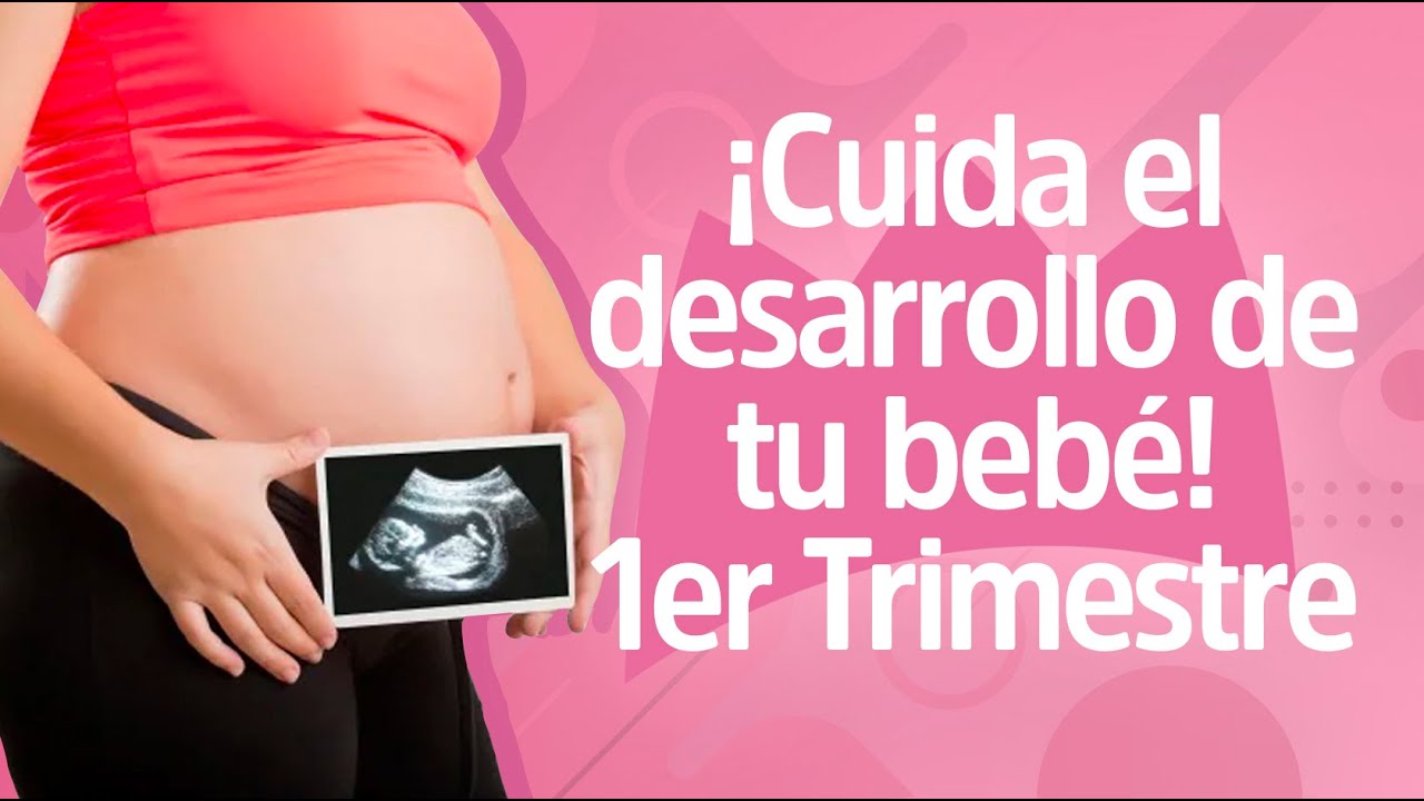 La Importancia del Ultrasonido 11-14 (Genético) | Reina Madre