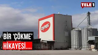 Gözler Ona Çevrilmişti Aynesin Satış Ihalesi Gerçekleşti