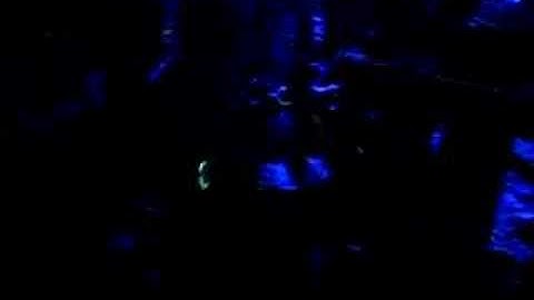 zoukout dance beach party 2006( drum)