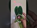 diy pipe cleaner handmade flower #love #gift #trending #diy #giftideas #gifthamper #shortsfeed #