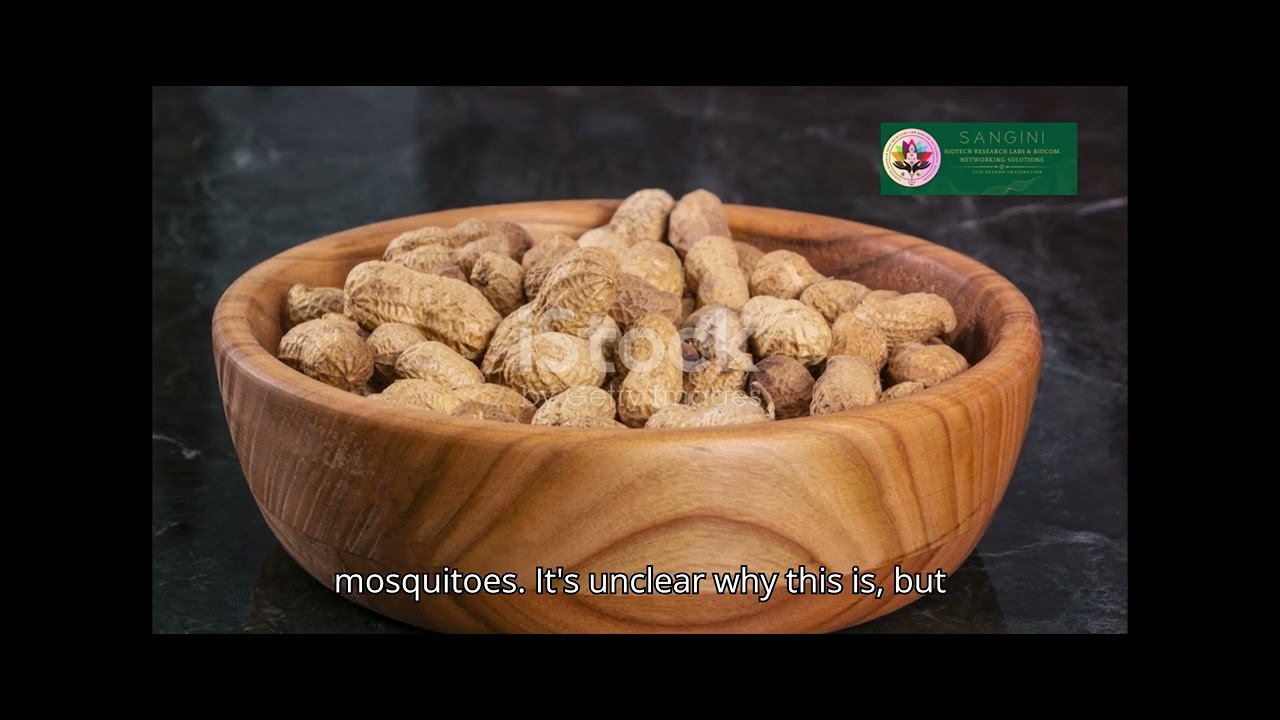 Why Mosquitoes Love Type O A Blood Type Mystery YouTube Why Mosquitoes Love Type O A Blood Type Mystery YouTube