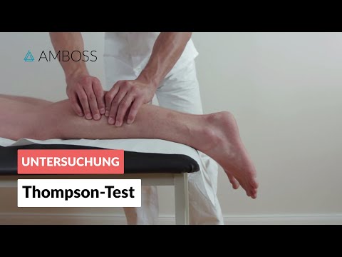 Durchführung des Thompson-Tests