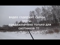 Загонная охота- Наконец то добыл...