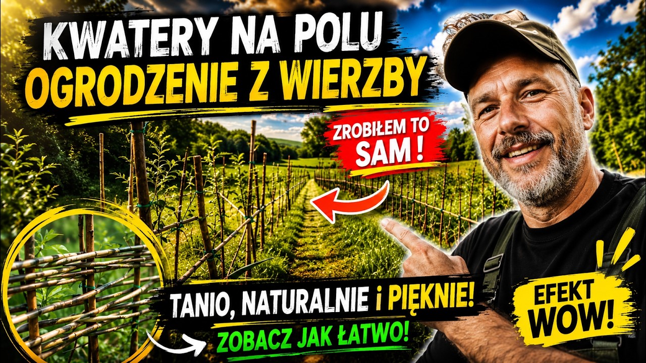 Kwatery na polu: ogrodzenie z wierzby, które da się przełożyć | Pole w praktyce #5 | Windy Farm