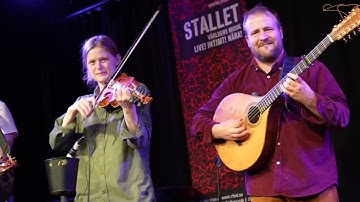 Tailcoat @Stallet Världens Musik
