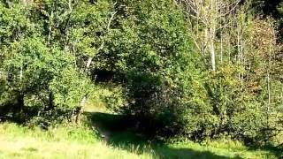 Pobyt Super--Radôstka