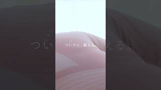 Sixpad Hip Fit わたしはヒップをはいて 鍛える1日1回23分