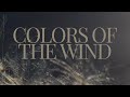 Colors of the wind cover by joshua cooley