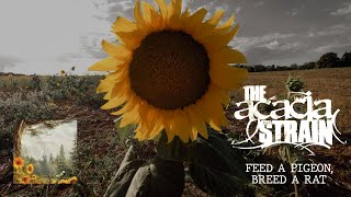 The Acacia Strain - Feed a Pigeon, Breed a Rat (Guitar Cover)