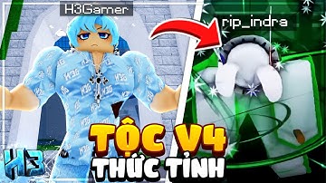 Mình Bắt Đầu THỨC TỈNH TỘC V4?? trong Blox Fruit | Roblox