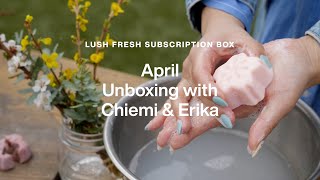 LUSHのサブスクサービス『フレッシュ&フラワー ボックス』4月ボックスのメニュー｜LUSH ラッシュ