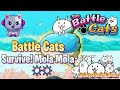 Battle Cats Survive Mola ⭐⭐