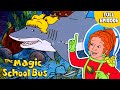 Takes A Dive Coral Reefs Sharks Underwater Habitats Full Episode The Magic School Bus Takes A Dive Coral Reefs Sharks Underwater Habitats Full Episode The Magic School Bus