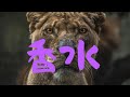 香水/おっさんVersion