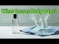 What Causes Body Odor? Surprising Facts You Need to Know