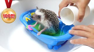 A cute hedgehog in a cute bathtub