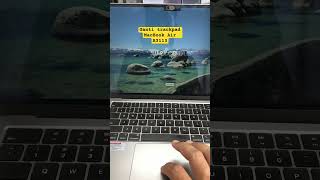 Keyboard dan trackpad tidak berfungsi pada macbook air a3113 #trackpad #macbookairm3