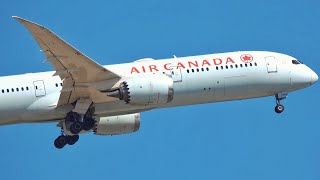 Boeing 787 Air Canada Landing Gear doesn't work? Plane Spotting Frankfurt