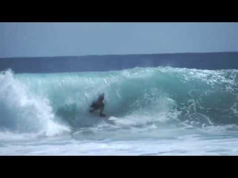Humans Surfing Turtles