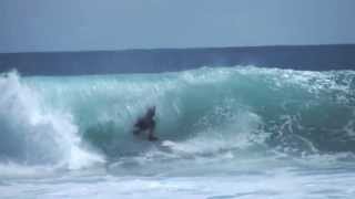 Humans Surfing Turtles