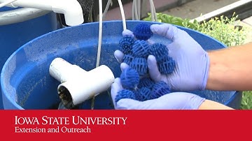 Aquaponics: Biofilter Tank