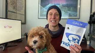 Native Pet Calming Chews for Dogs - Melatonin for Dogs Anxiety Relief