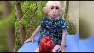 How Mom s Warm Love Nurtures Tiny Jack s Fruit Snack Addiction