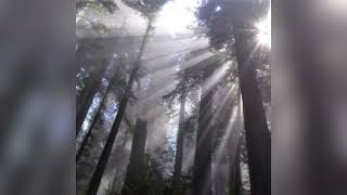 AQSIDE! - Sunshine