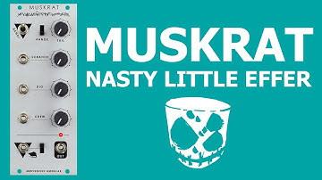 Moffenzeef Modular Muskrat // Glitchy voice & more in Eurorack