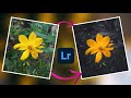 Lightroom Mobile Tutorial | Flower Photography Editing | Photography Tutorial | PictureSque