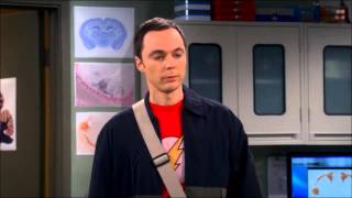 Amy, Sheldon \& A Monkey (TBBT: The Workplace Proximity)