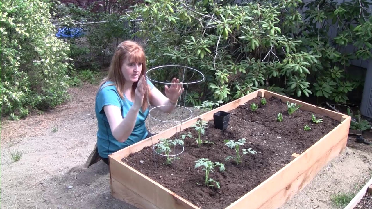 Gardening: Your Backyard Oasis - YouTube