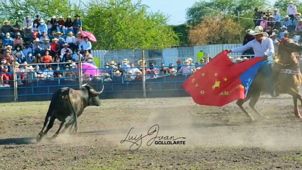 QUE FORMA DE TOREAR 🐴🤠